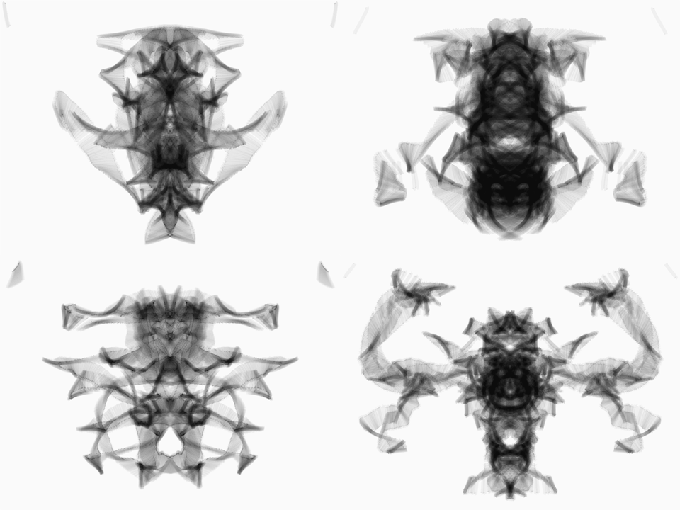 Digital drawing, translucent dark soft lines on an off-white background, looking like some four radiographs on a grid, clockwise from the top right, of a fish, a beetle, a decapod crustacean and a shark.