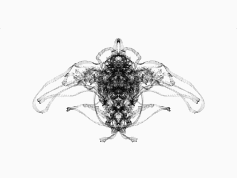 Digital drawing, translucent dark soft lines on an off-white background, looking like some kind of radiograph of a bird.